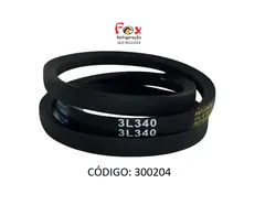 Correia Mueller 3L-340