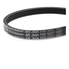 Correia Mueller Mult V Diva(Menor)(C-67)